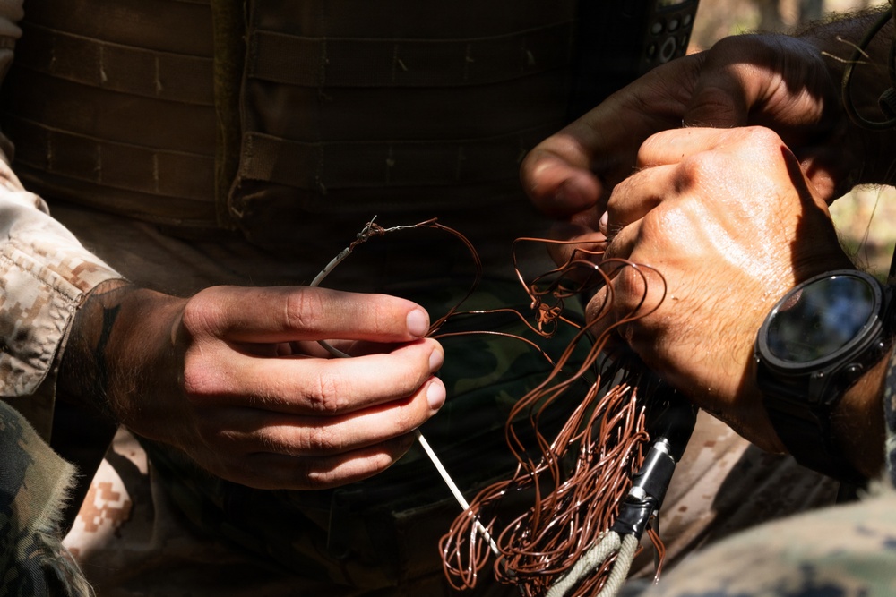 Advanced Infantry Training Company Participates in a Live Fire Exercise