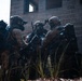 3rd SFG (A) 14th Chemical Reconnaissance Detachment and EOD demonstrate operational readiness during exercise Venom Shield