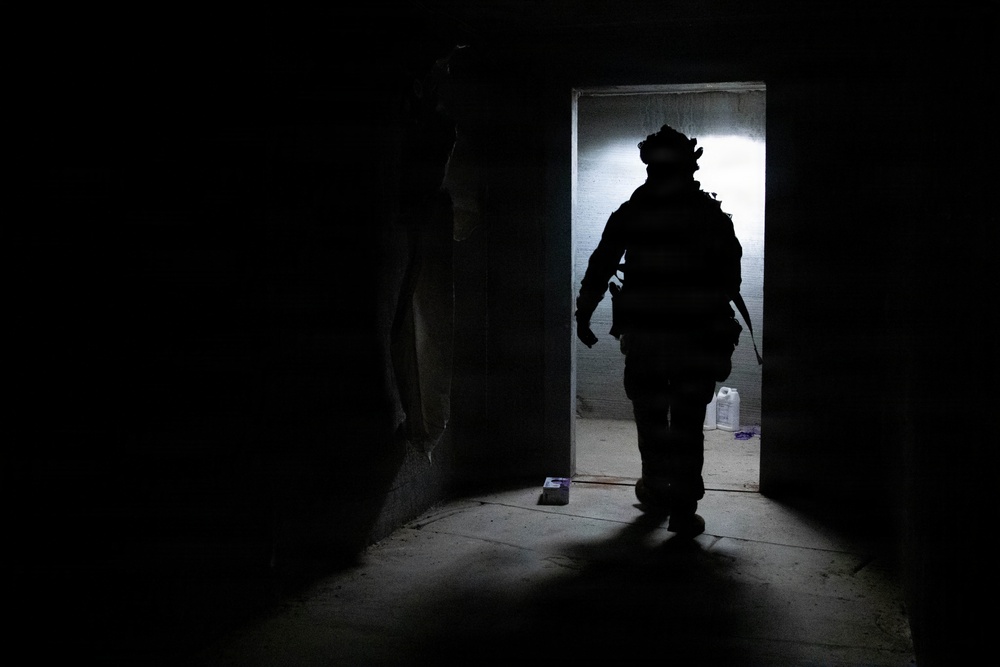 3rd SFG (A) 14th Chemical Reconnaissance Detachment and EOD demonstrate operational readiness during exercise Venom Shield