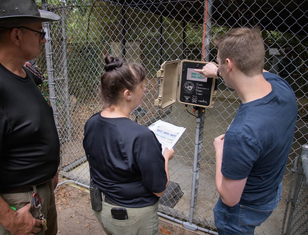 Students Seek Mentorship from Naval Engineers to help Endangered Red Wolves