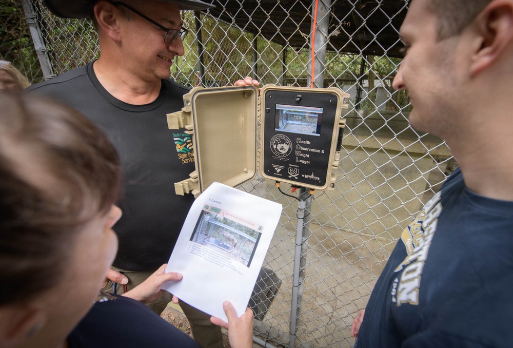 Students Seek Mentorship from Naval Engineers to help Endangered Red Wolves