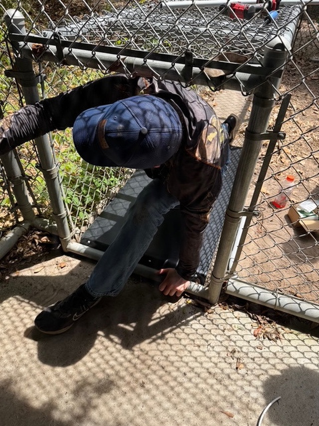 Students Seek Mentorship from Naval Engineers to help Endangered Red Wolves