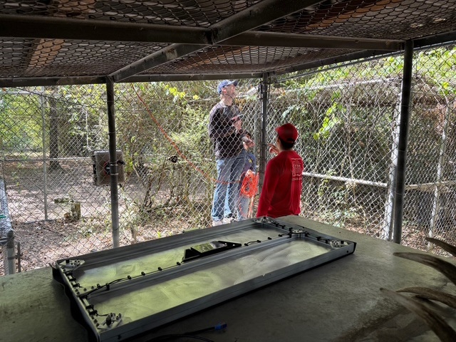 Students Seek Mentorship from Naval Engineers to help Endangered Red Wolves