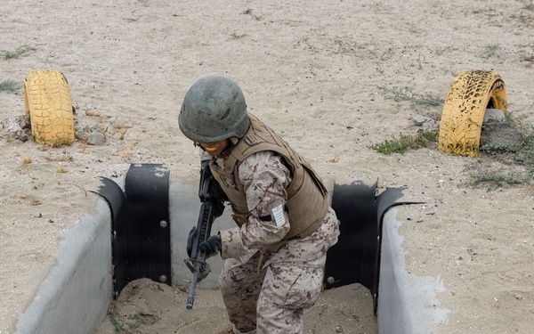 Alpha Company Bayonet Assault Course