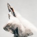 F-22 Demonstration Team performs for 2026 Dayton Airshow