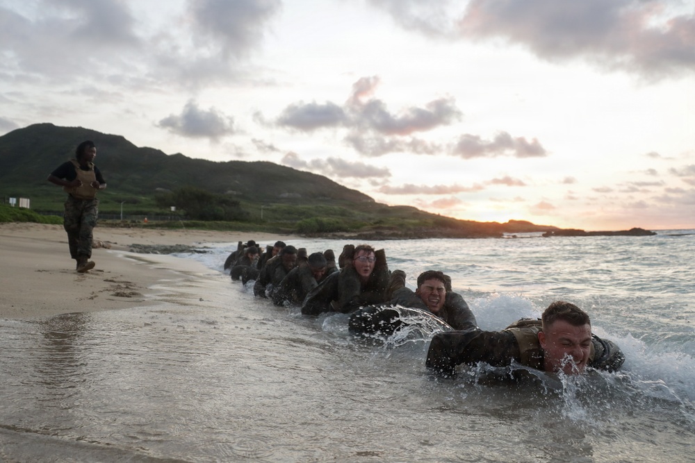 Physical Discipline: 3rd LAAB Conducts MCMAP Culminating Event