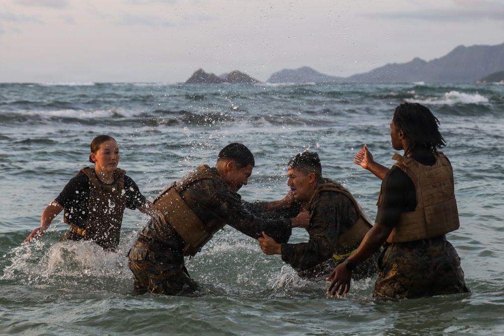 Physical Discipline: 3rd LAAB Conducts MCMAP Culminating Event