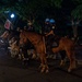 U.S. Park Police partrol during UFC Freedom 250