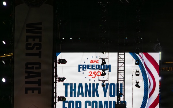 UFC Freedom 250 brings athletes, service members and fans together in front of the White House