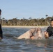 CLC-23 Physical Readiness PT