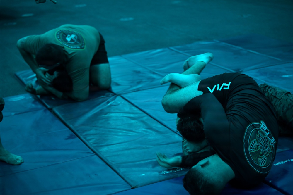 Jiu-jitsu Aboard USS Essex