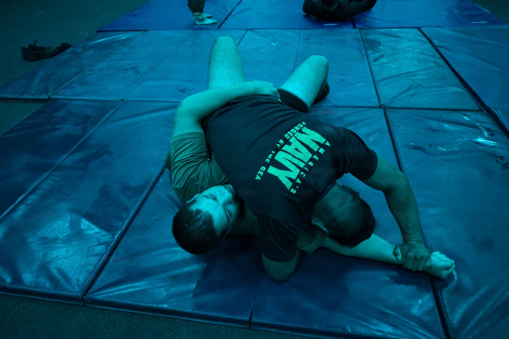 Jiu-jitsu Aboard USS Essex
