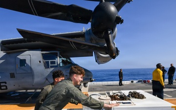 USS Essex FOD Walkdown
