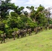 25th Infantry Division Conducts Joint Air Assault on Calayan Island