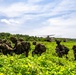 SALAKNIB 2026: 2-27 Conducts Joint Air Assault at Calayan Island