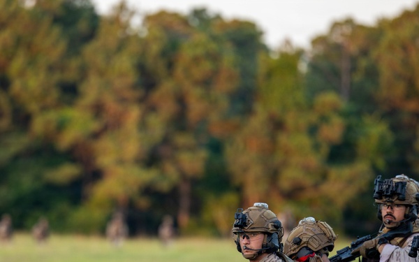 Fleet Exercise 250 | Spanish and French marines conduct aerial insert