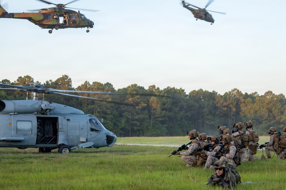Fleet Exercise 250 | Spanish and French marines conduct aerial insert