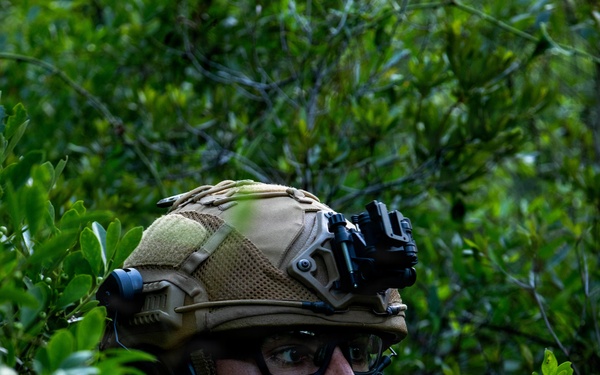 Fleet Exercise 250 | Spanish and French marines conduct aerial insert