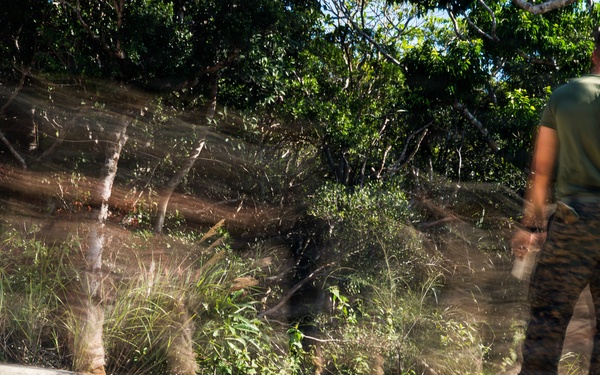 3rd Littoral Combat Team Marines conduct ambush patrols during Tactical Small Unit Leaders Course