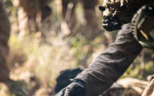 3rd Littoral Combat Team Marines conduct ambush patrols during Tactical Small Unit Leaders Course