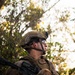 3rd Littoral Combat Team Marines conduct ambush patrols during Tactical Small Unit Leaders Course