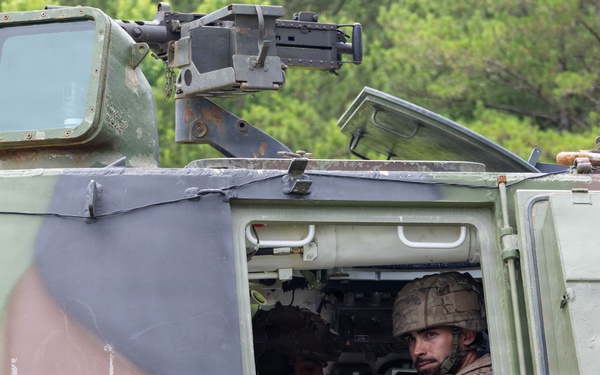 Fleet Exercise 250 | U.S. Marines with 10th Marine Regiment and Spanish marines conduct an artillery range