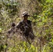 3rd Littoral Combat Team Marines participate in reconnaissance patrol operations during TSULC