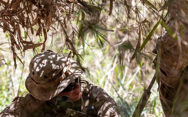 3rd Littoral Combat Team Marines participate in reconnaissance patrol operations during TSULC