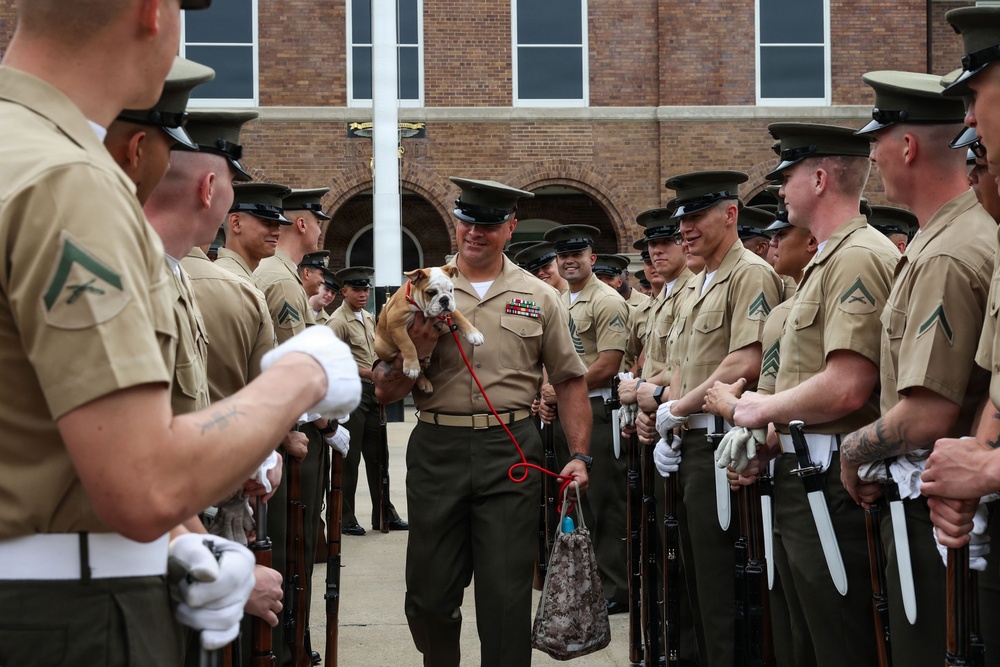 Reveal of Recruit Chesty XVII