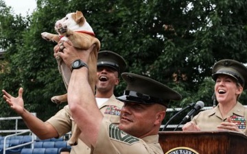 Reveal of Recruit Chesty the XVII