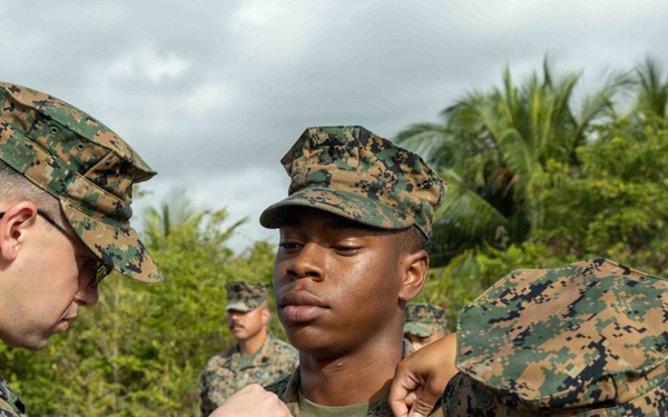 LCF-24: Promotions on Deployment