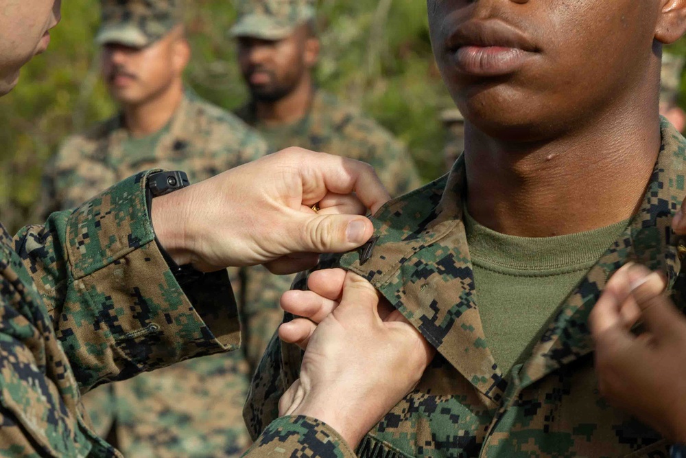 LCF-24: Promotions on Deployment