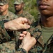 LCF-24: Promotions on Deployment