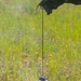 U.S. Marines conduct contaminant response training in the Baltic Region