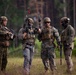 U.S. Marine Corps combat engineers conduct bilateral training with Allies and partners