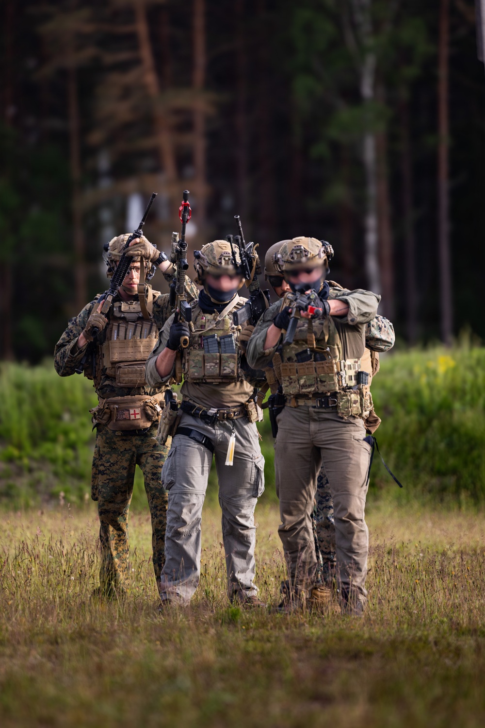 U.S. Marine Corps combat engineers conduct bilateral training with Allies and partners