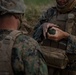 U.S. Marines conduct grenade range during Exercise Sea Breeze 26 in Romania