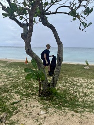 George Washington Sailors Participate in Guam Beach Clean Up