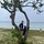 George Washington Sailors Participate in Guam Beach Clean Up