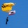 The U.S. Army Parachute Team parachutes into Truckee Tahoe Airshow