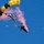 The U.S. Army Parachute Team parachutes into Truckee Tahoe Airshow