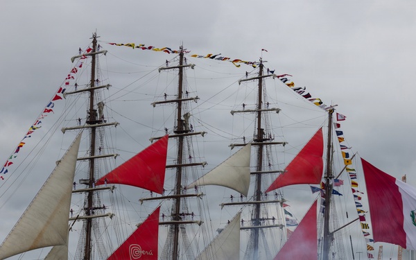 Sail 250 Virginia Parade of Sail arrives in Norfolk