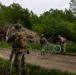 U.S. Marines conduct bilateral convoy training