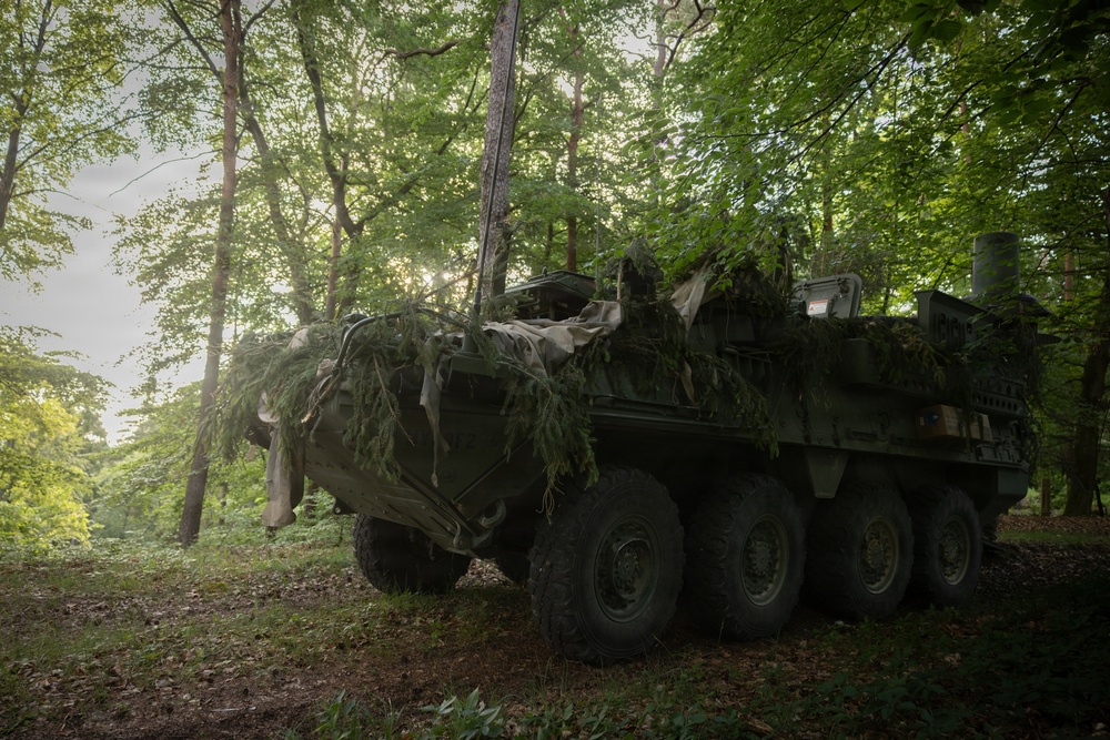 Camouflaged US Army Stryker armored vehicle concealed in wooded treeline during Spectrum Blitz 26