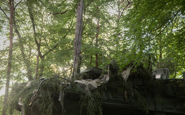 Camouflaged US Army Stryker armored vehicle concealed in wooded treeline during Spectrum Blitz 26
