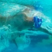 Warrior Games 2026 Swim Competition
