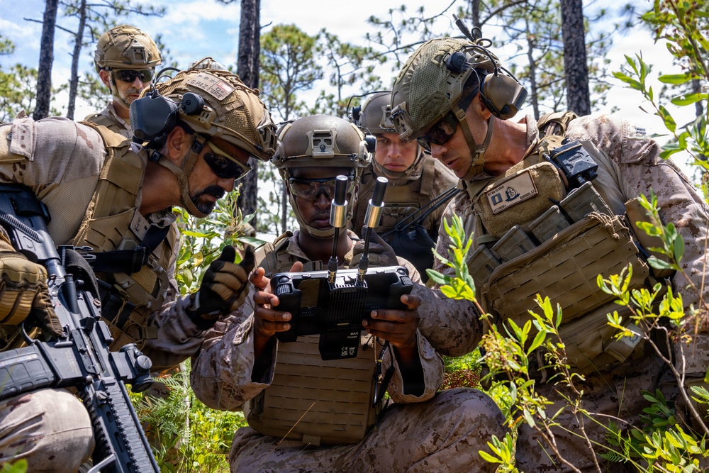 FLEETEX 250 | U.S. and Spanish Marines participate in company level live-fire range