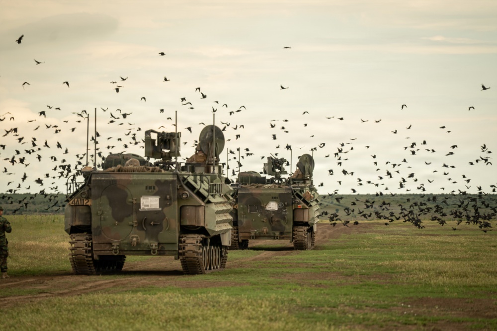 U.S. Marines, allied forces conduct combined arms live fire exercise during Sea Breeze 26 in Romania