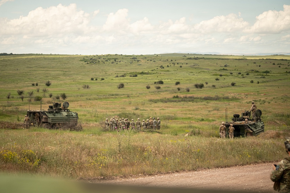 U.S. Marines, allied forces conduct combined arms live fire exercise during Sea Breeze 26 in Romania