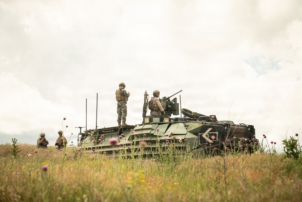 U.S. Marines, allied forces conduct combined arms live fire exercise during Sea Breeze 26 in Romania
